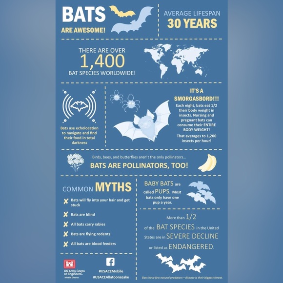 $3 HALLOWEEN PIN/BROOCH. ENAMEL/METAL. NEW. $3 WITH ANY $10 ORDER OR MORE - Picture 9 of 16